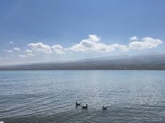 -青海湖国家重点风景名胜区