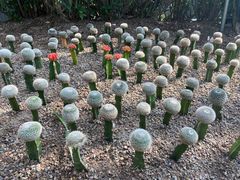 -南山植物园