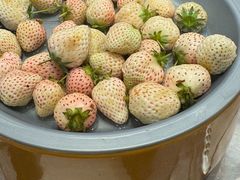 -喜家自助小火锅(乐客城店)
