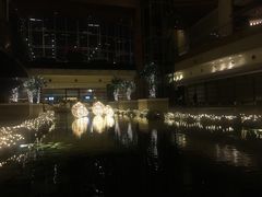 -上海外滩茂悦大酒店