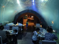 -涛·海底餐厅·美人鱼·自助餐·海底隧道(三亚海棠湾洲际度假酒店)
