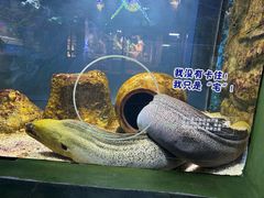 -顺德南宏海立方海洋公园