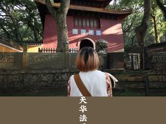 -普陀山风景名胜区-法雨禅寺