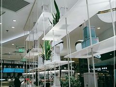 大堂-奈雪的茶(新天地广场PRO店)