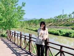 -洨河生态公园