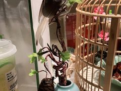 -佬麻雀·剁椒鱼头(京基KK One店)