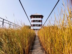 -河北村民俗体验园