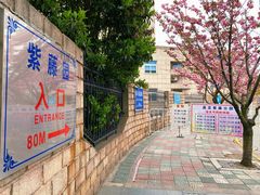 -嘉定紫藤园