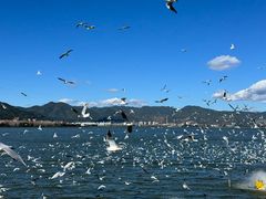 -海埂大坝