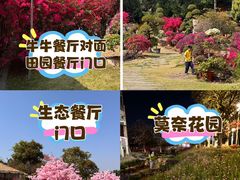 -盈香心动乐园