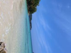 -东姑阿都拉曼海洋公园