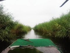 -白洋淀景区