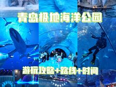 -海合安青岛极地海洋公园