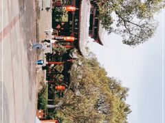 -棠湖公园