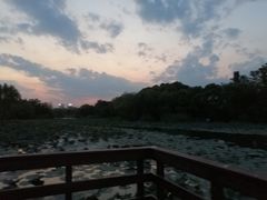 -新江湾城公园