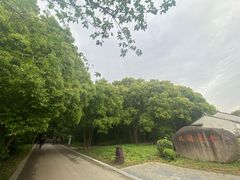 -同里国家湿地公园