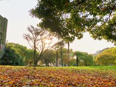-同济大学(沪西校区)