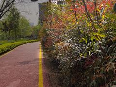 -西安汉城湖景区