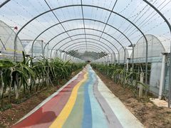 -海堤葡萄园中小学生研学基地