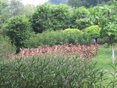 -广州市干部健康管理中心