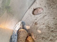 -广州长隆飞鸟乐园
