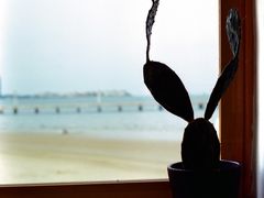 -ChanDu躔度咖啡(灯塔店)