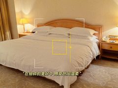 -南京维景国际大酒店(南京博物院店)