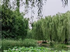 -丰台科技园生态主题公园