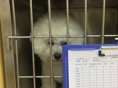 -惠康宠物医院(华能路店)