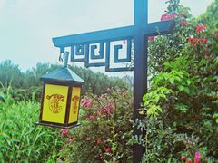 -西安汉城湖景区