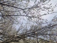 -杭州植物园