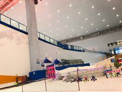 -哈尔滨热雪奇迹