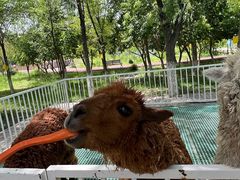 -水上乐园·欢乐世界