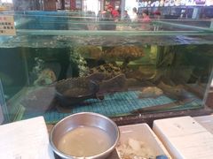 -聚福宝合苑食府(南头镇店)