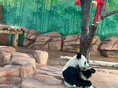 -秦皇岛野生动物园