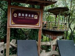 -天门沟九州驿站树上汤泉