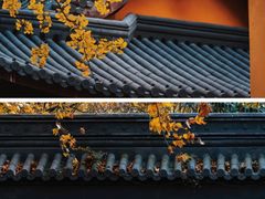 -灵谷景区