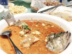 -三强鸽子(中原路店)