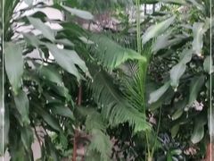 -滕头生态酒店(奉化店)