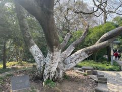 -采石矶景区