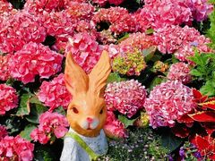 -人民公园(罗湖区)