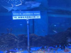 -常州海昌海洋探索馆