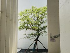 -中国宣纸文化园