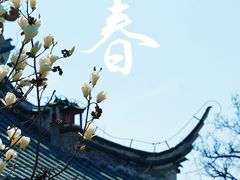 -烟台市博物馆