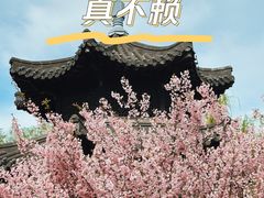 -莫愁湖公园