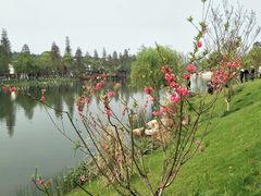 -常德桃花源景区