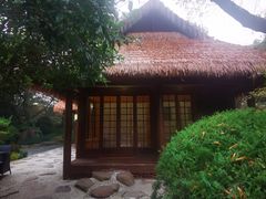 -中国茶叶博物馆(双峰馆区)