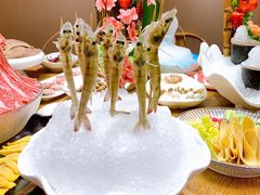 深水虾-尚海豆捞(乐虹坊店)