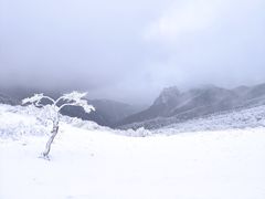 -秦岭风景区