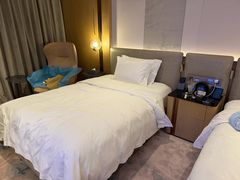 -深圳国际会展中心希尔顿酒店(前海华发冰雪世界店)